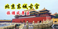 “淫色人妻”中国北京-东城古宫旅游风景区